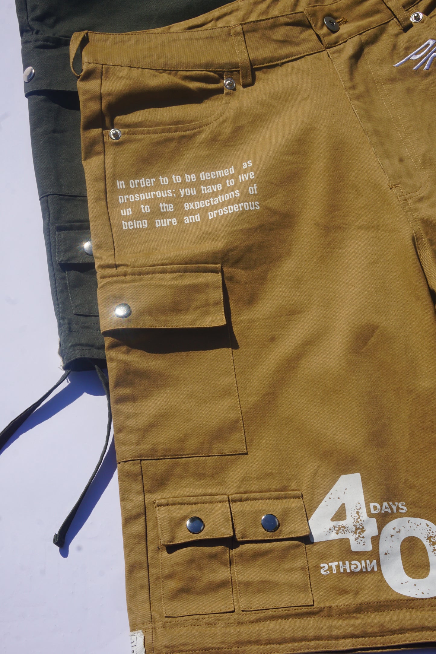 PROSPUROUS Oversized Cargo Shorts