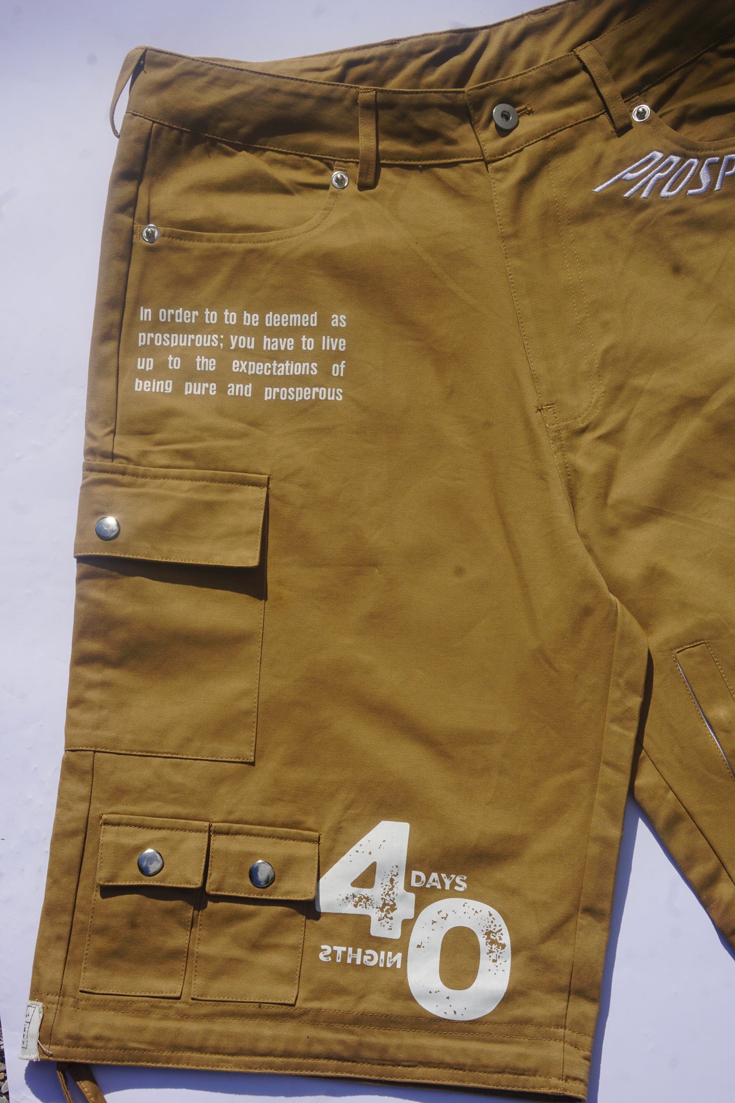 PROSPUROUS Oversized Cargo Shorts